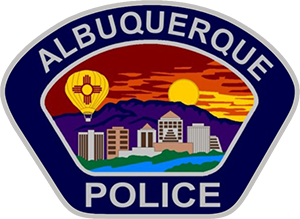 APD Online logo